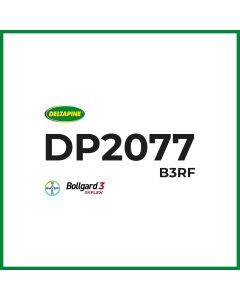 DP2077 B3RF